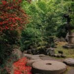 Simple Garden Tasks to Do Each Weekend